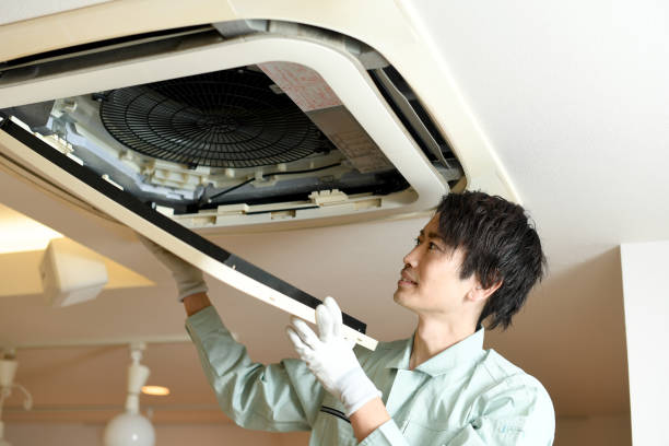 Best Air Duct Cleaning Near Me  in Mesita, NM