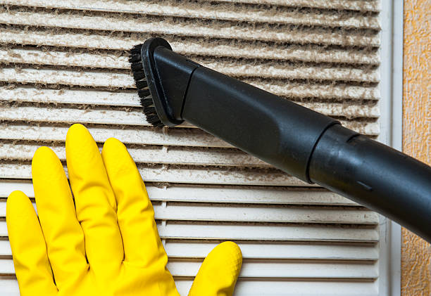 Best Air Duct Cleaning Near Me  in Mesita, NM